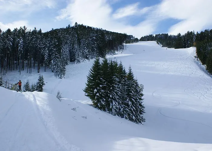 Διαμέρισμα Feichtner Tulfes