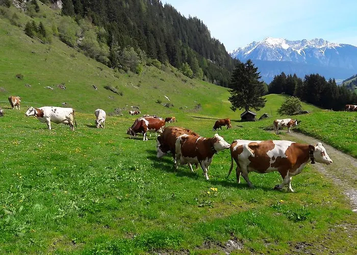 Διαμέρισμα Feichtner *