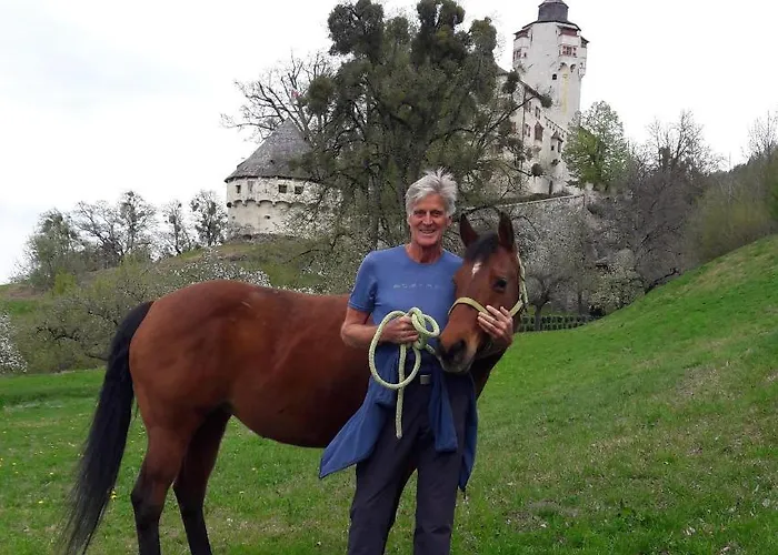 Feichtner Appartamento Tulfes