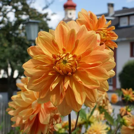 Feichtner Tulfes