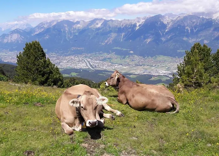 Feichtner Тульфес